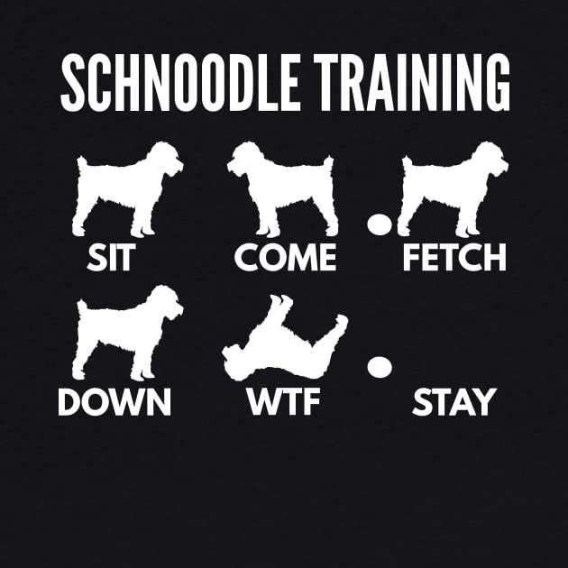 Schnoodle Training Schnoodle Dog Tricks by DoggyStyles